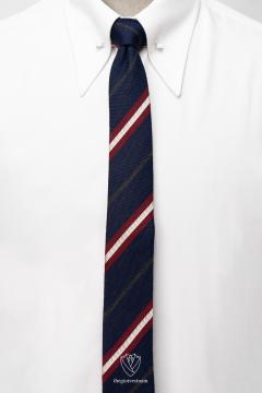 Cà vạt nam TGC327