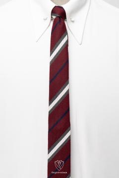 Cà vạt nam TGC333