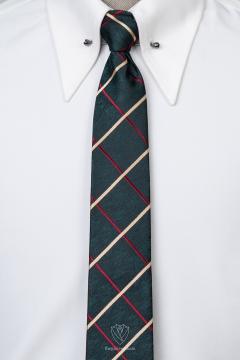 Cà vạt nam TGC349